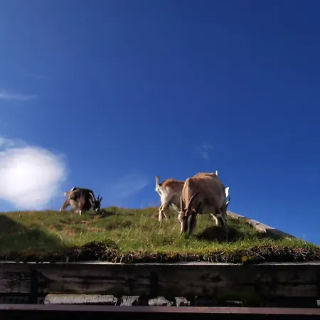 Langedrag Naturpark بيت خشبي Tunhovd