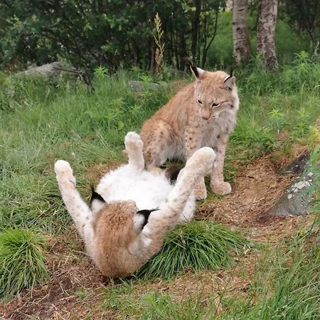 Langedrag Naturpark * Tunhovd